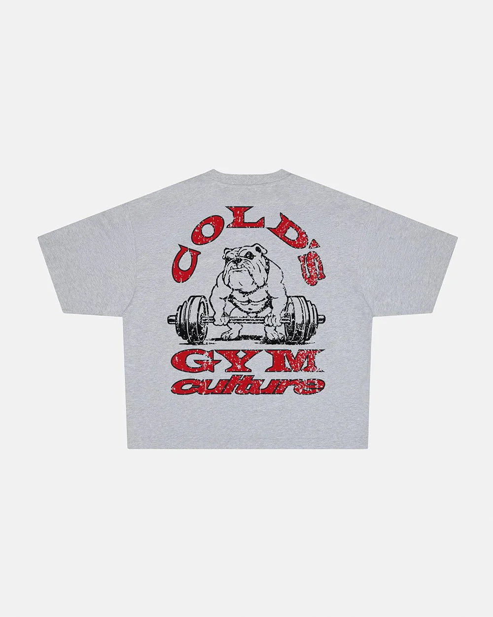 COLD´S GYM BOXY TEE
